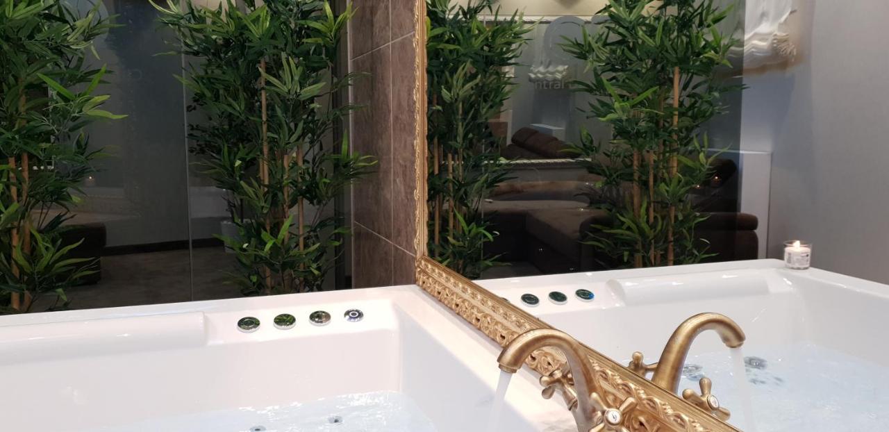 Central Business Apartments Jacuzzi Belgrade Exterior photo